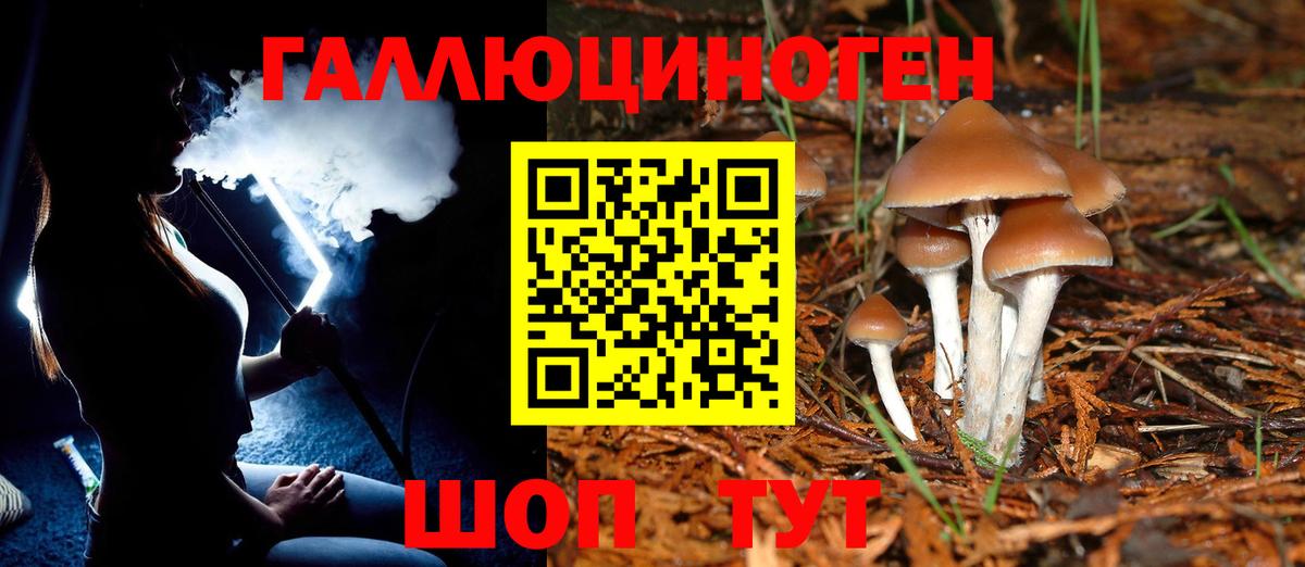 Псилоцибиновые грибы мухоморы Лянтор