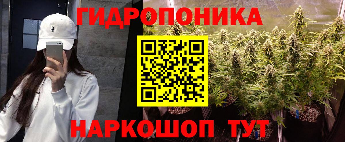 Бошки марихуана SATIVA & INDICA  Вход с VPN  Лянтор  Бошки Шишки LSD WEED 